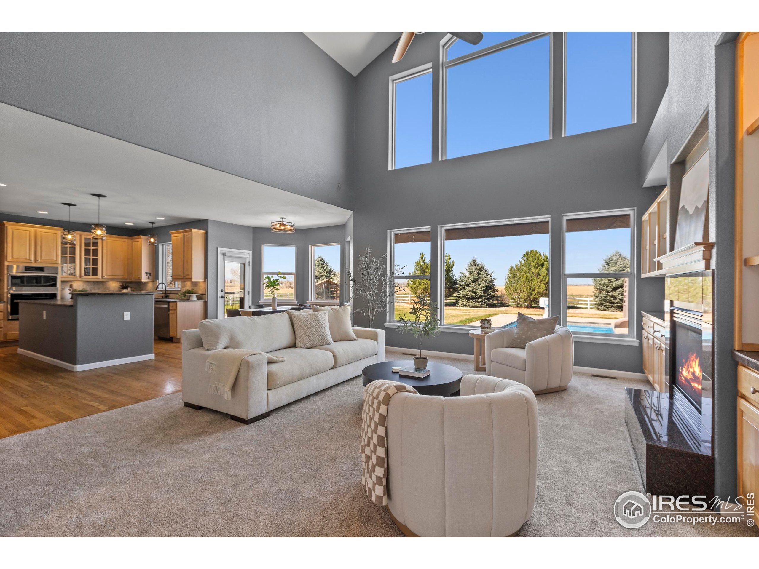 231 Mulligan Lake Dr