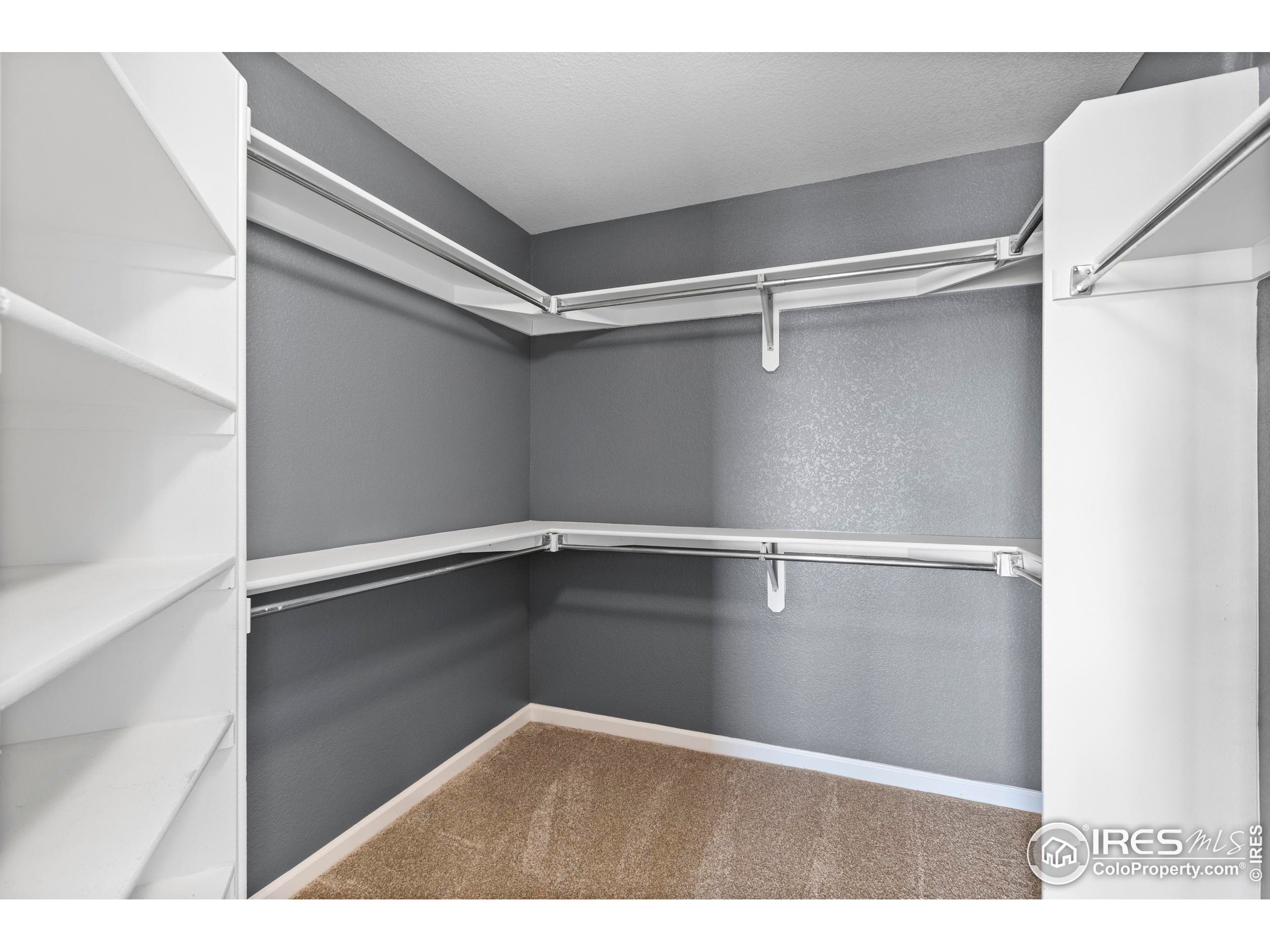 231 Mulligan Lake Dr