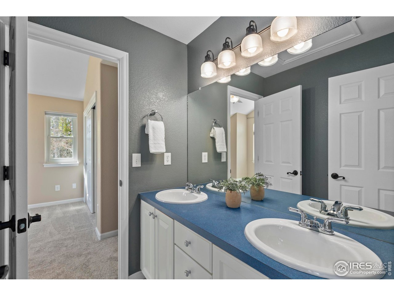 231 Mulligan Lake Dr