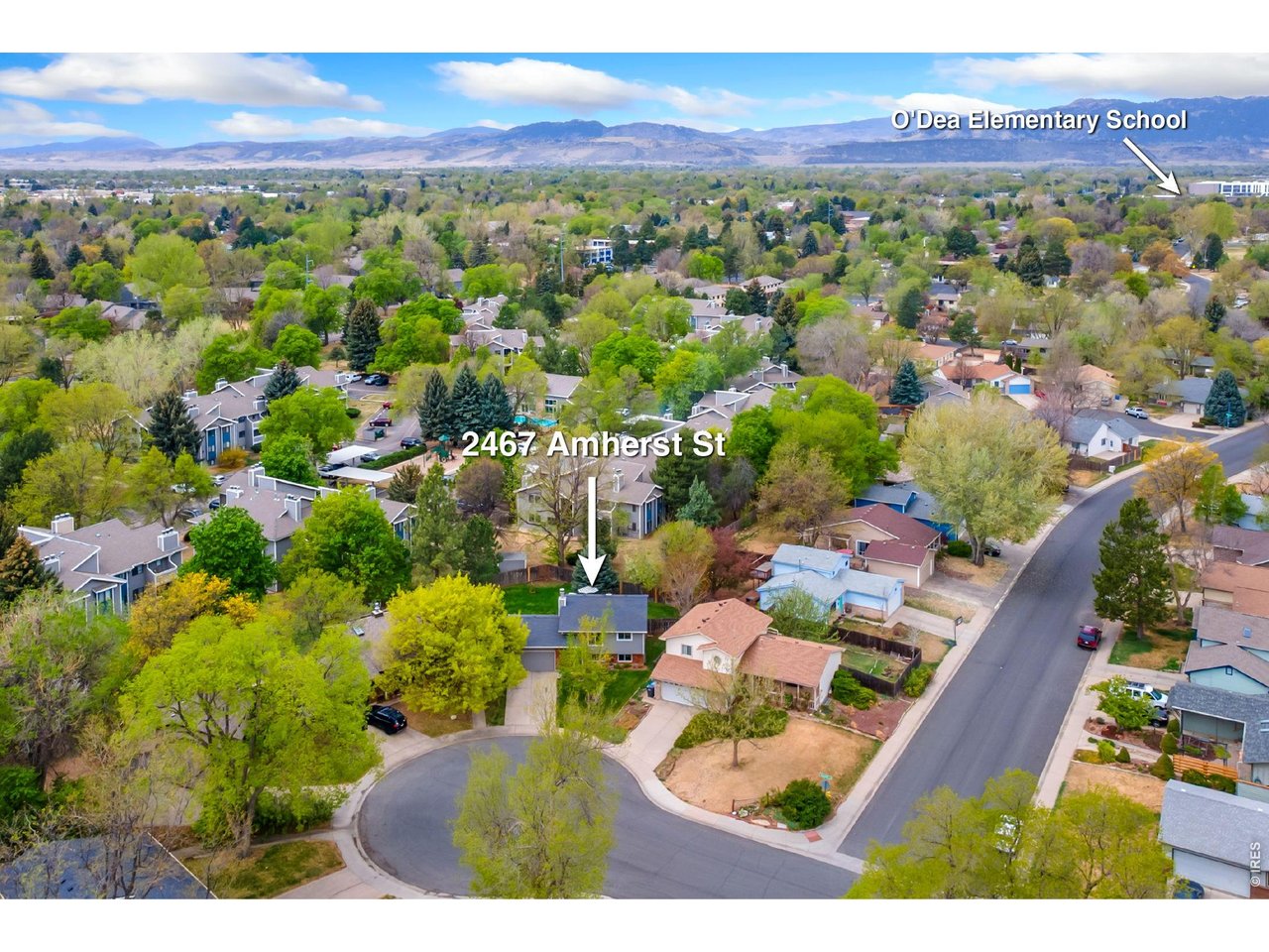 2467 Amherst St