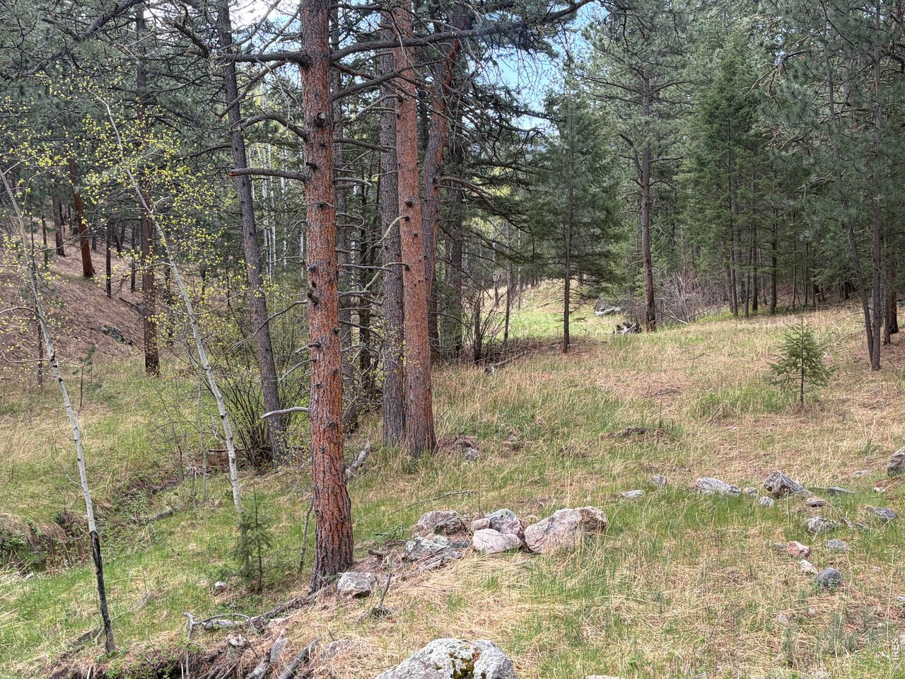 1899 Spring Valley Rd