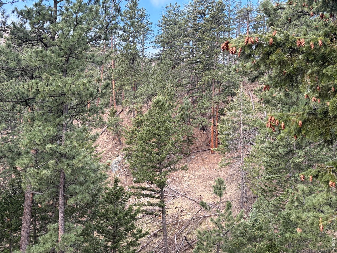 1899 Spring Valley Rd