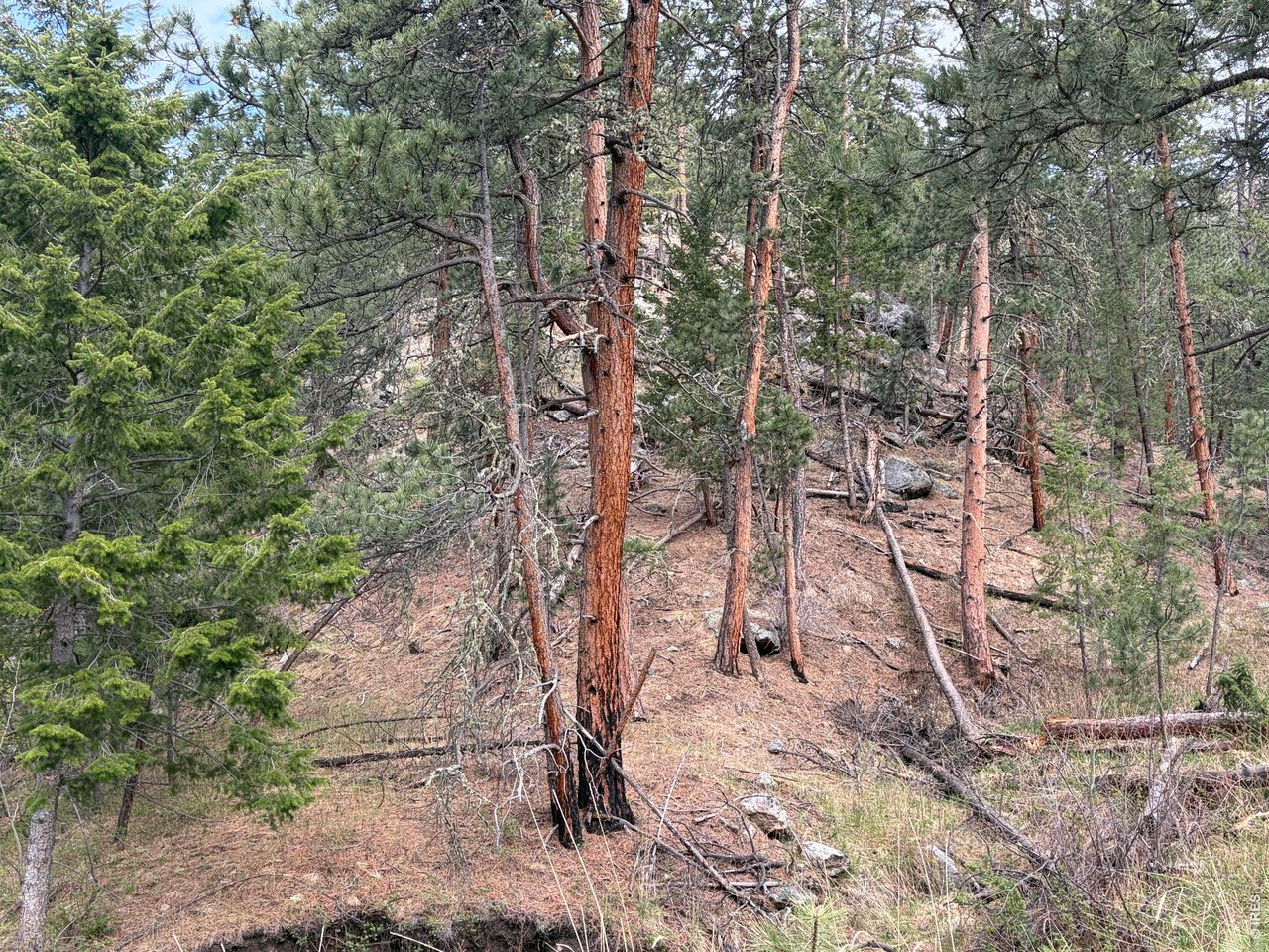 1899 Spring Valley Rd