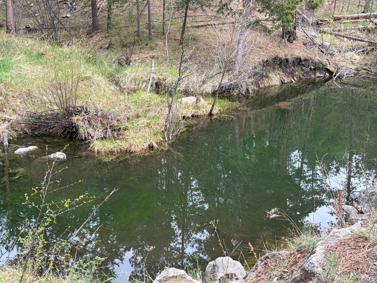 1899 Spring Valley Rd