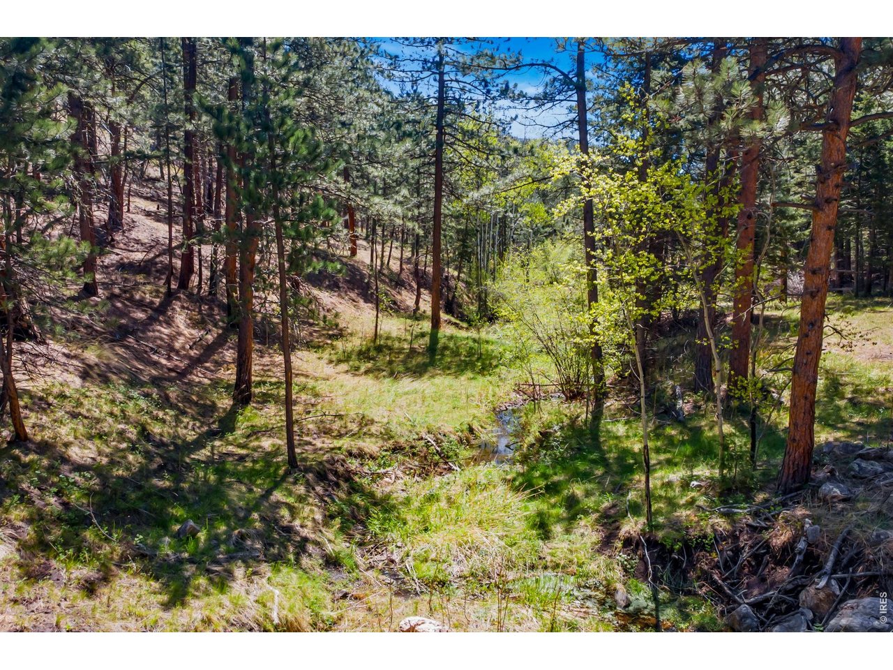 1899 Spring Valley Rd