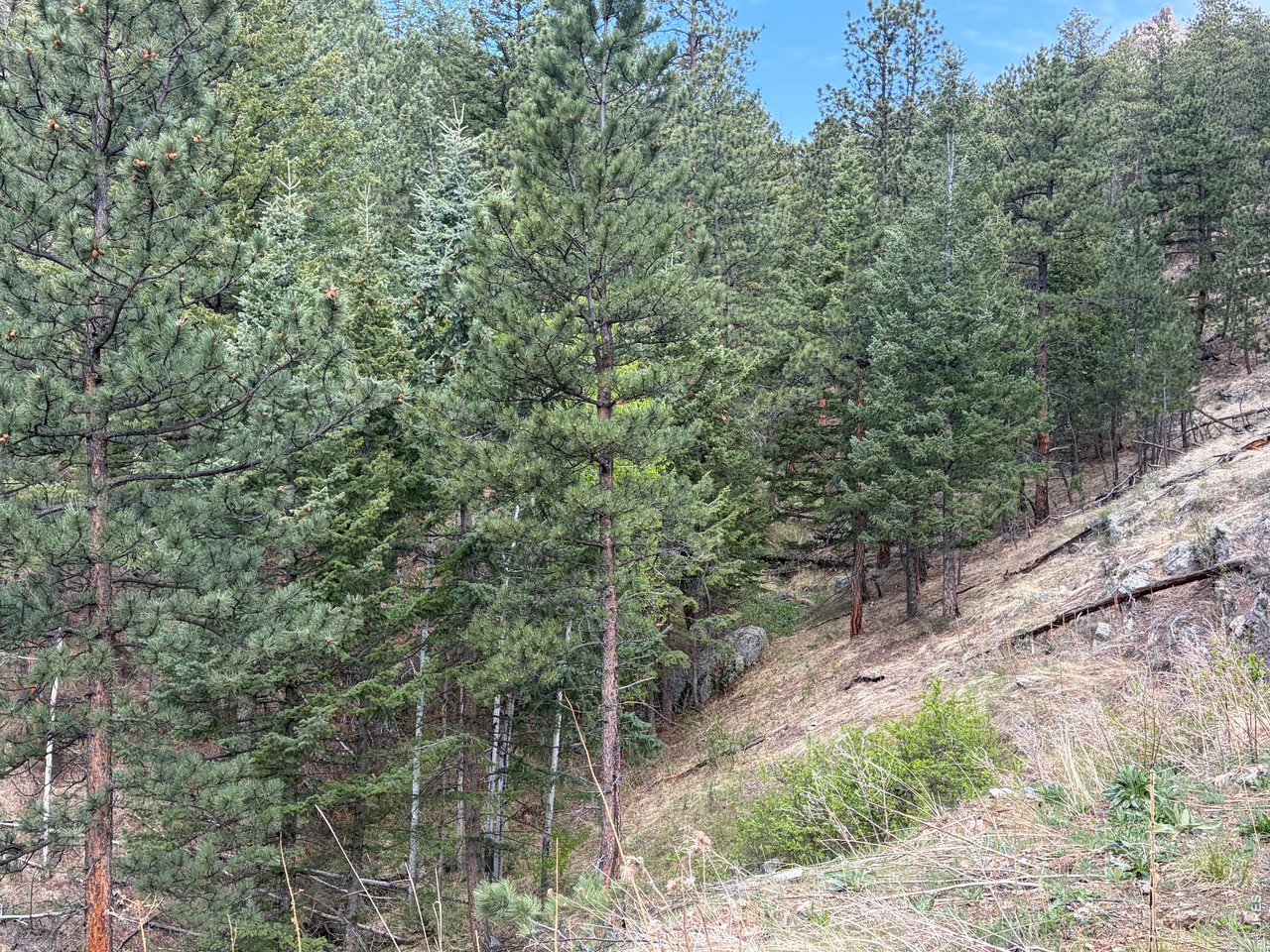 1899 Spring Valley Rd