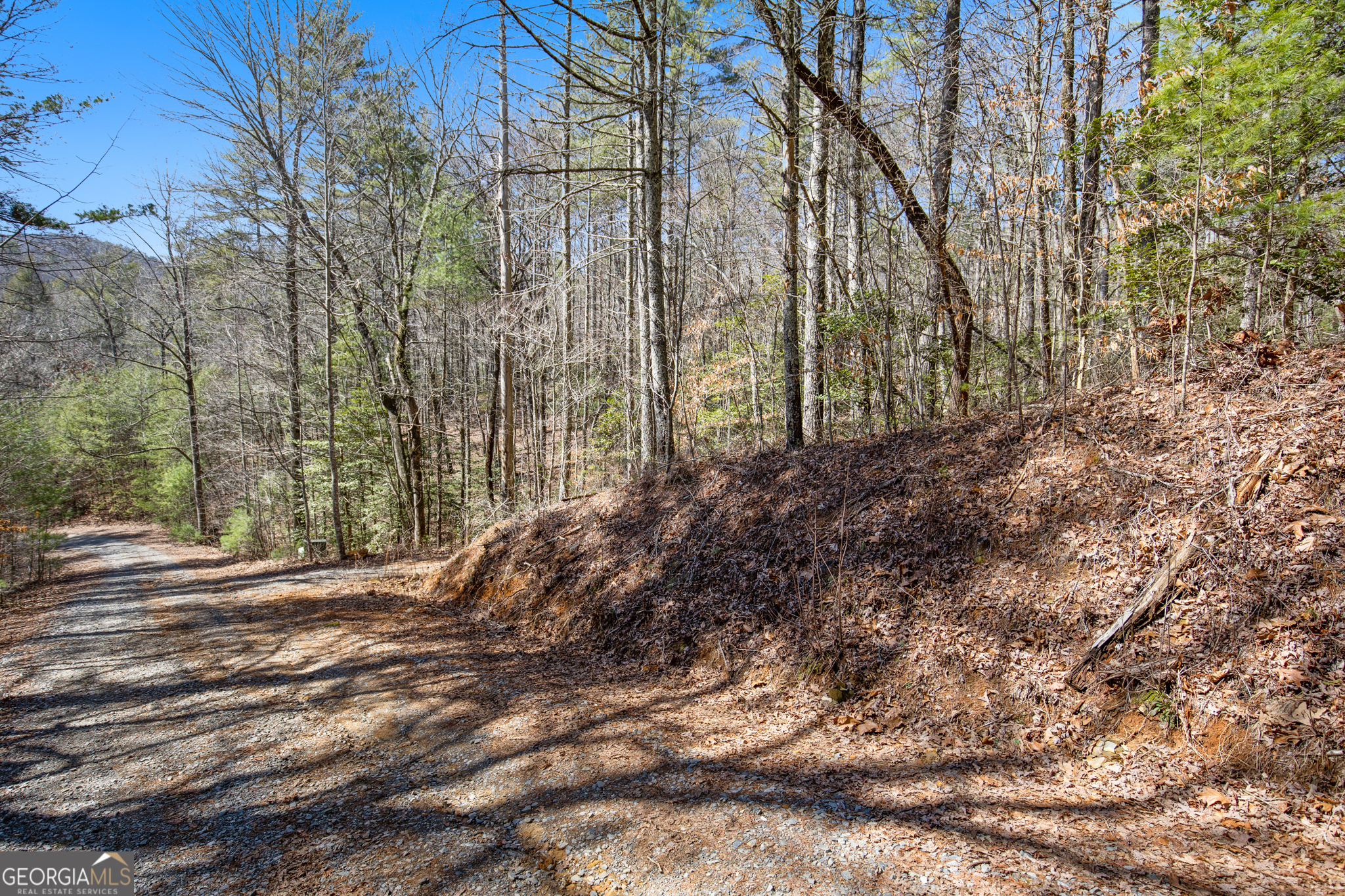 11.1 AC. Stevens Ridge Road