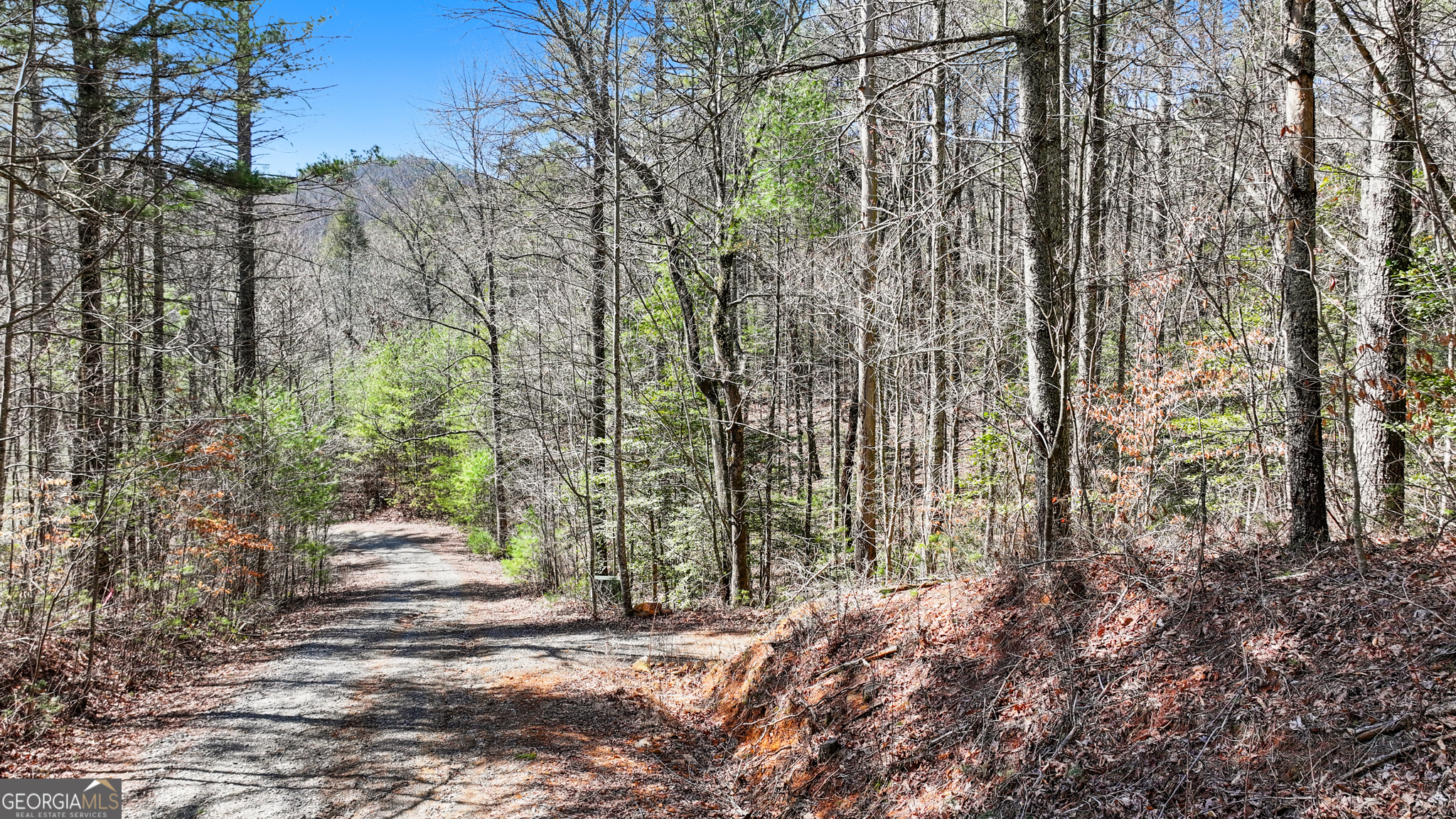 11.1 AC. Stevens Ridge Road