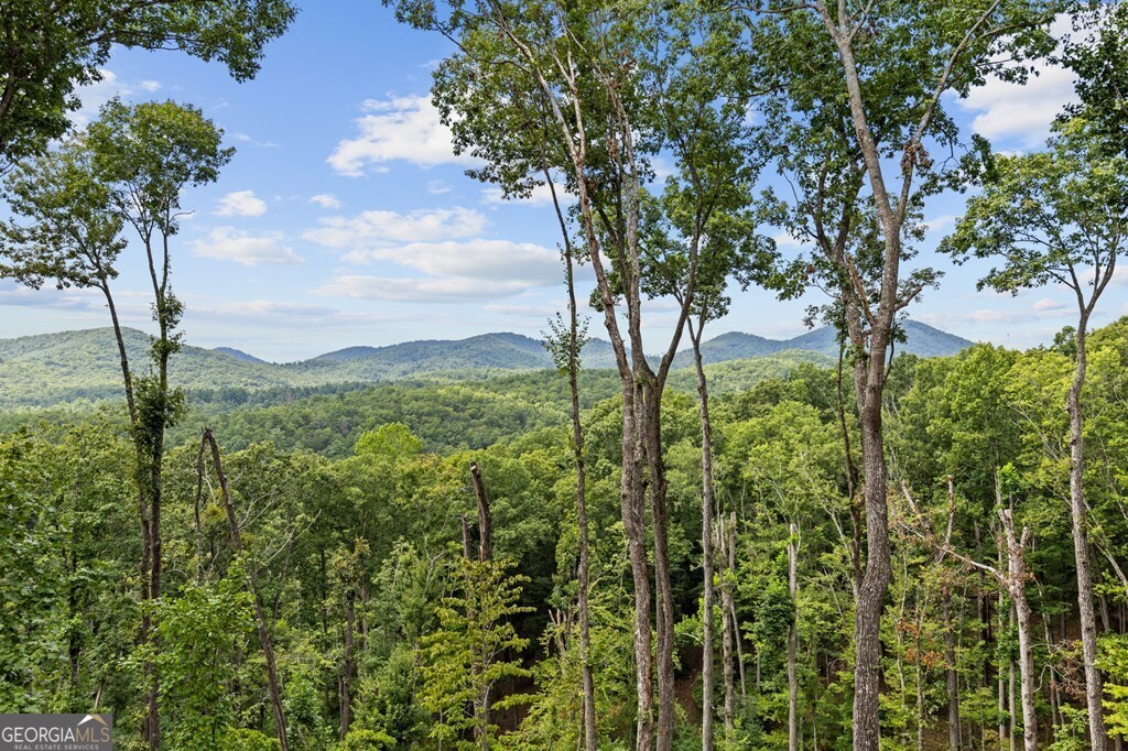 LOT 20 Blue Ridge Escape # 20