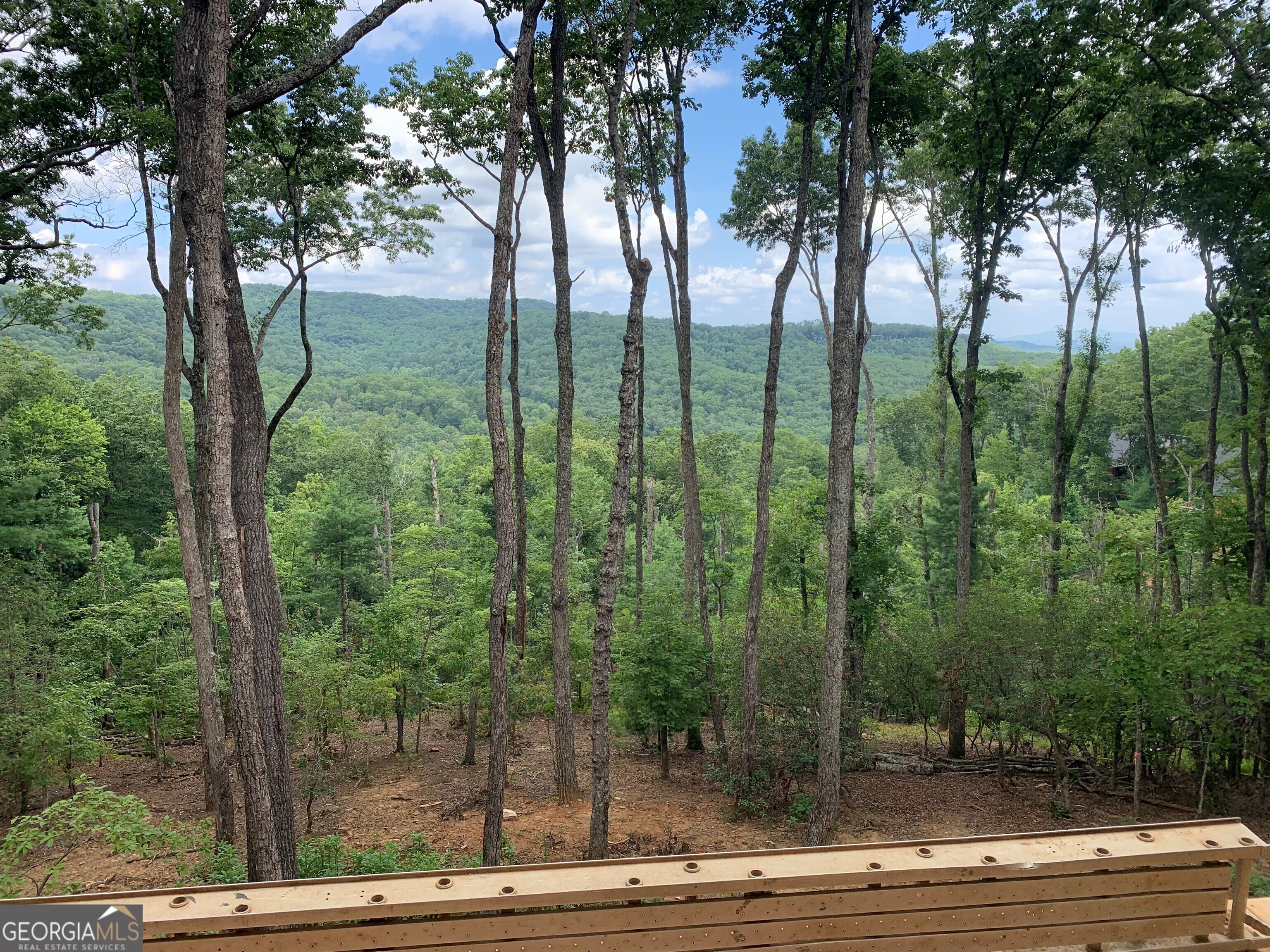 LOT 20 Blue Ridge Escape # 20