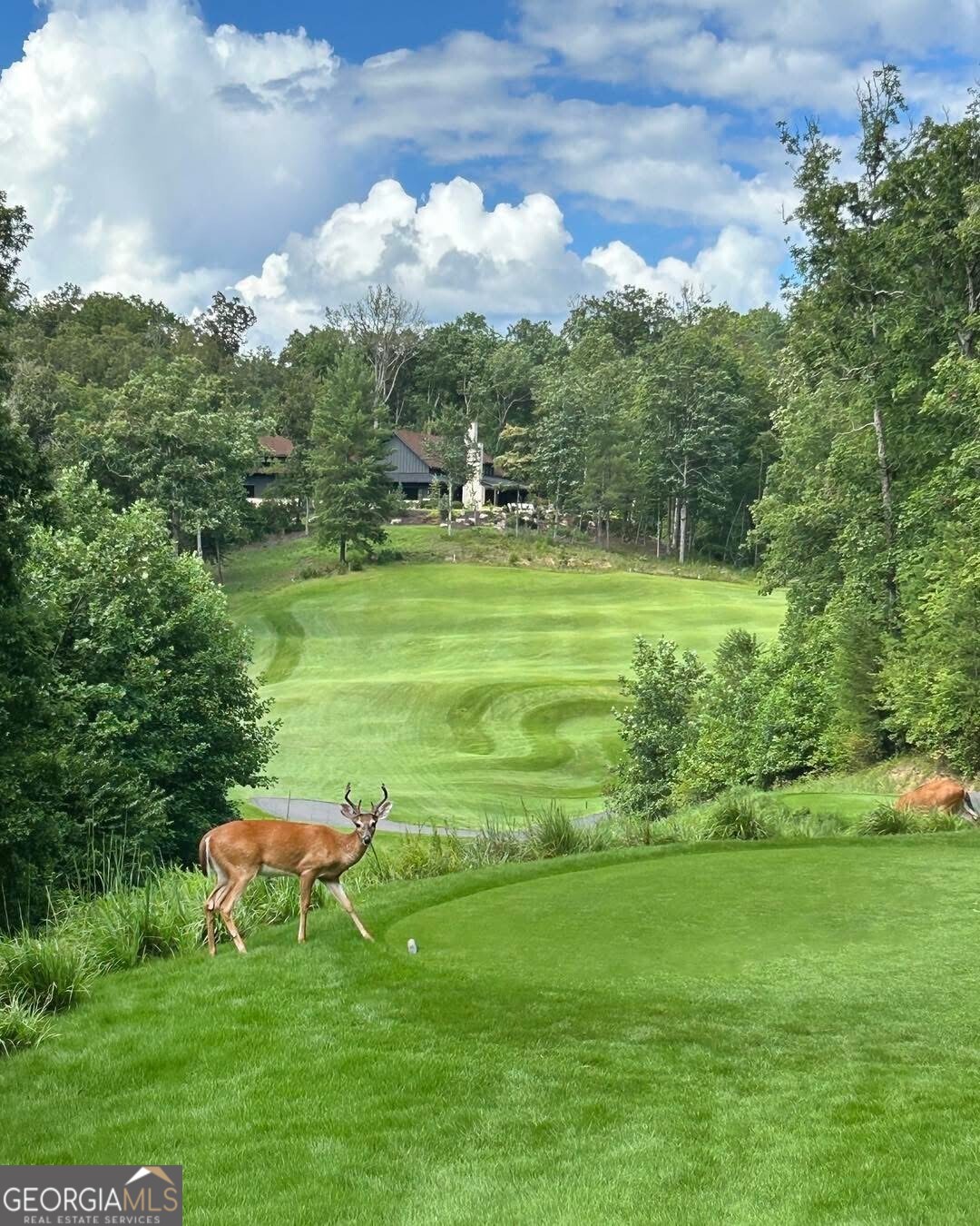 LOT 144 Hickory Way