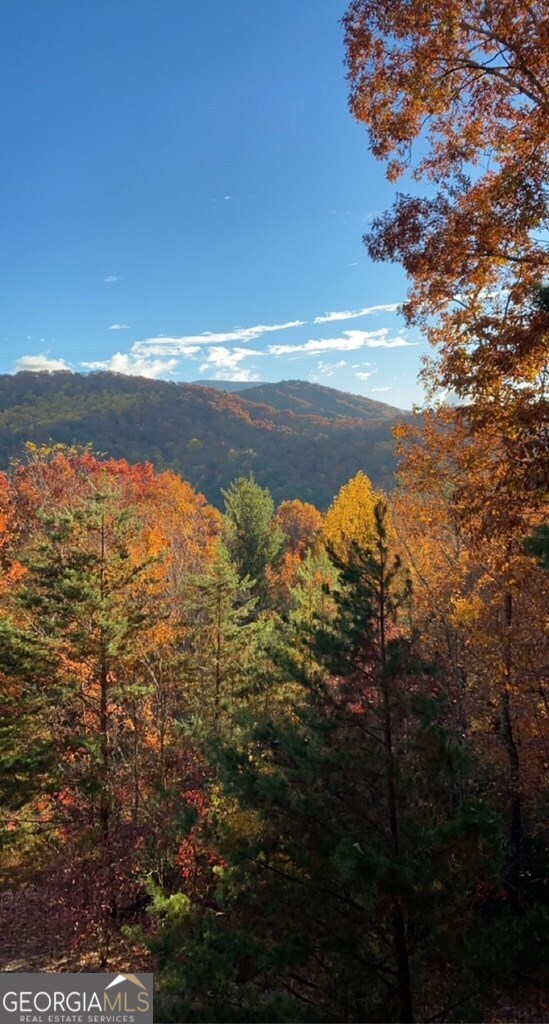 101 Falling Rock Road