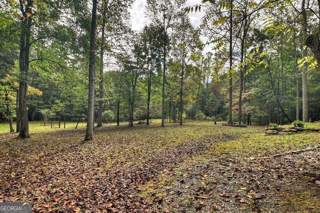 1081 Mitchell Branch Road