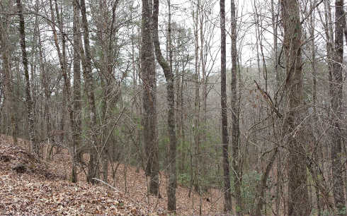 358 Waleska Lane