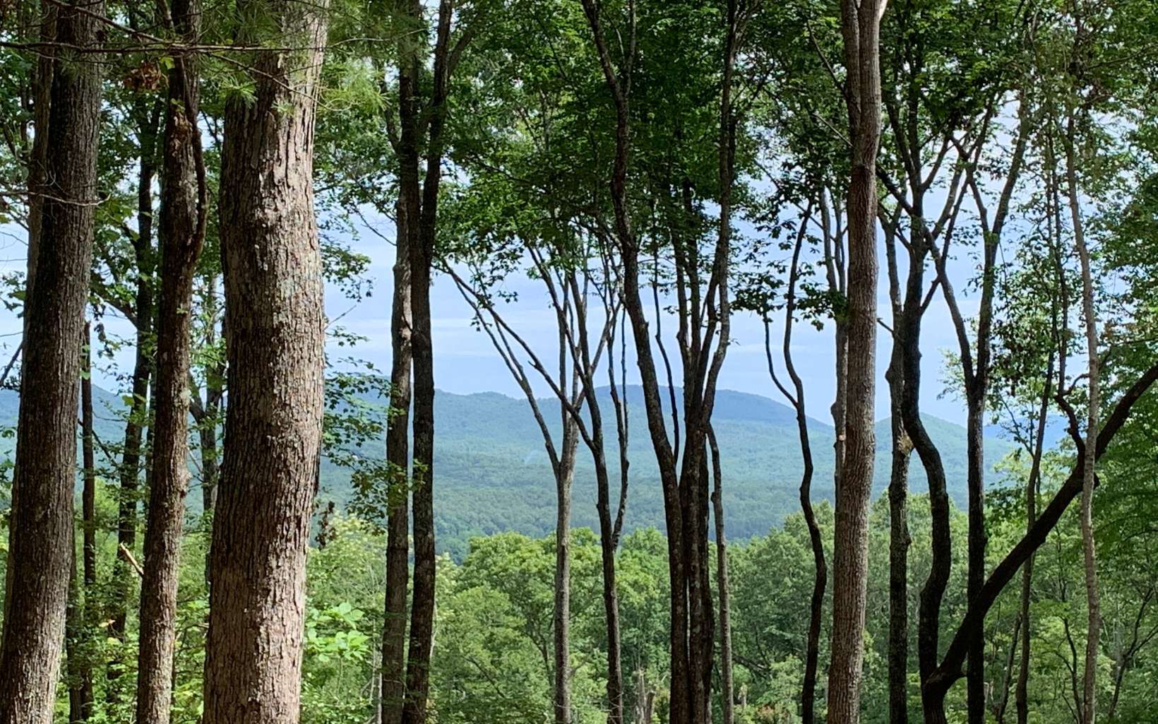 LOT 8 Blue Ridge Escape