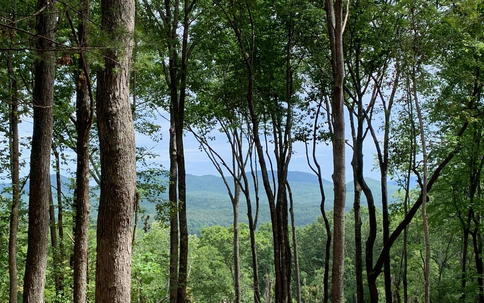 LOT 7 Blue Ridge Escape