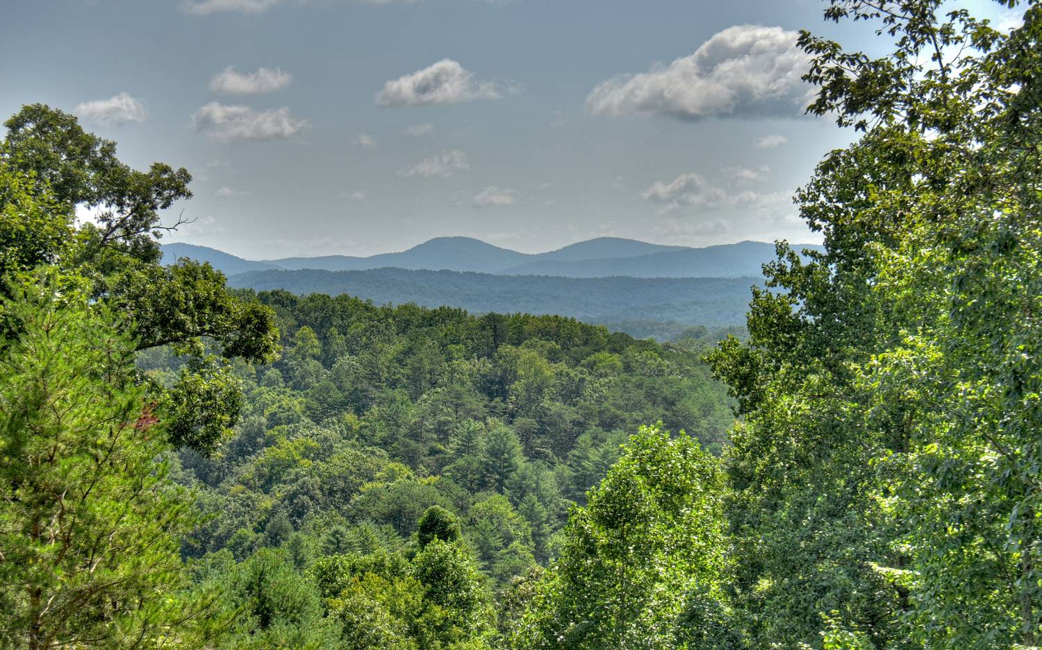 221 Deerfield Lane