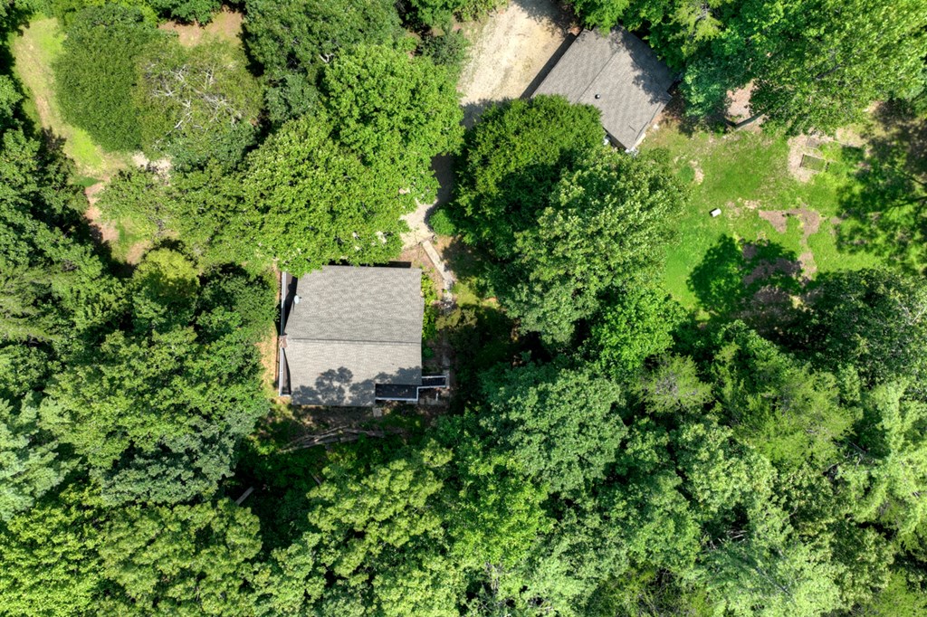 119 Wilson Way