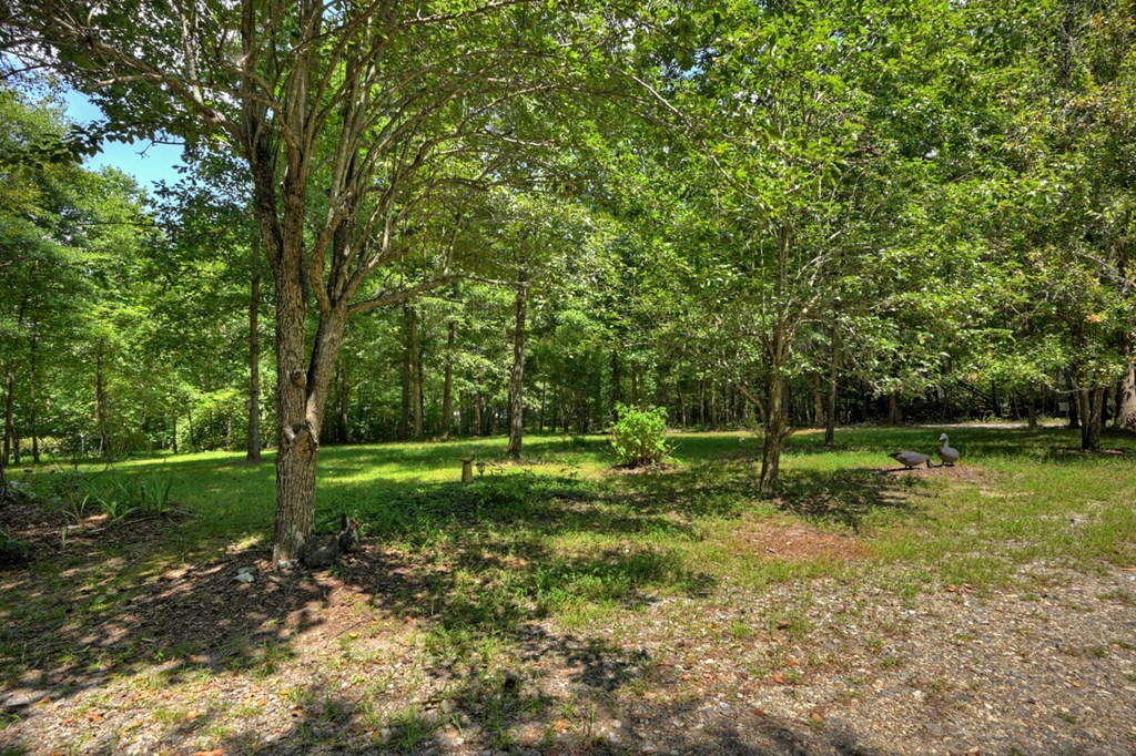119 Wilson Way