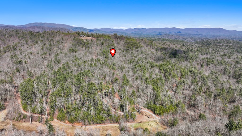 11.1 Ac. Stevens Ridge Road