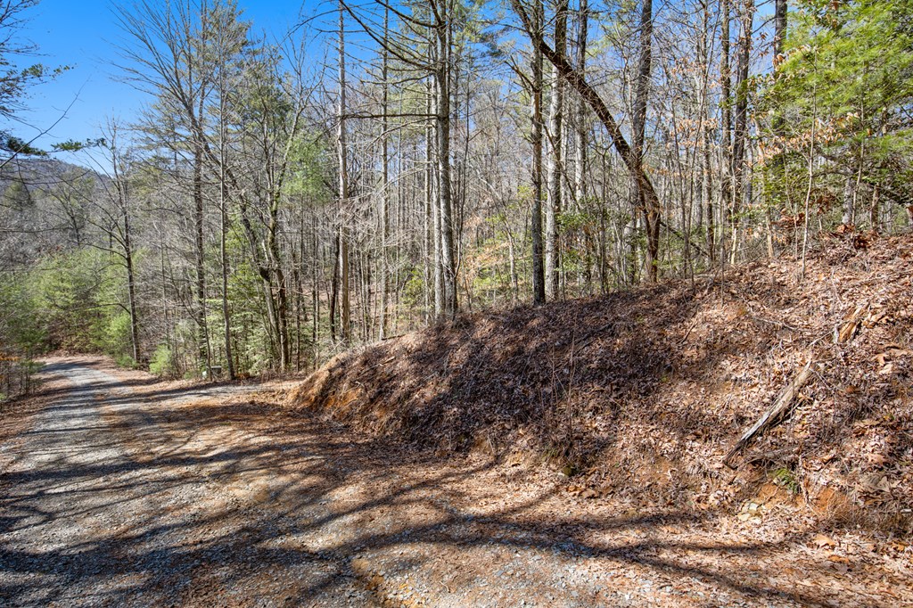 11.1 Ac. Stevens Ridge Road