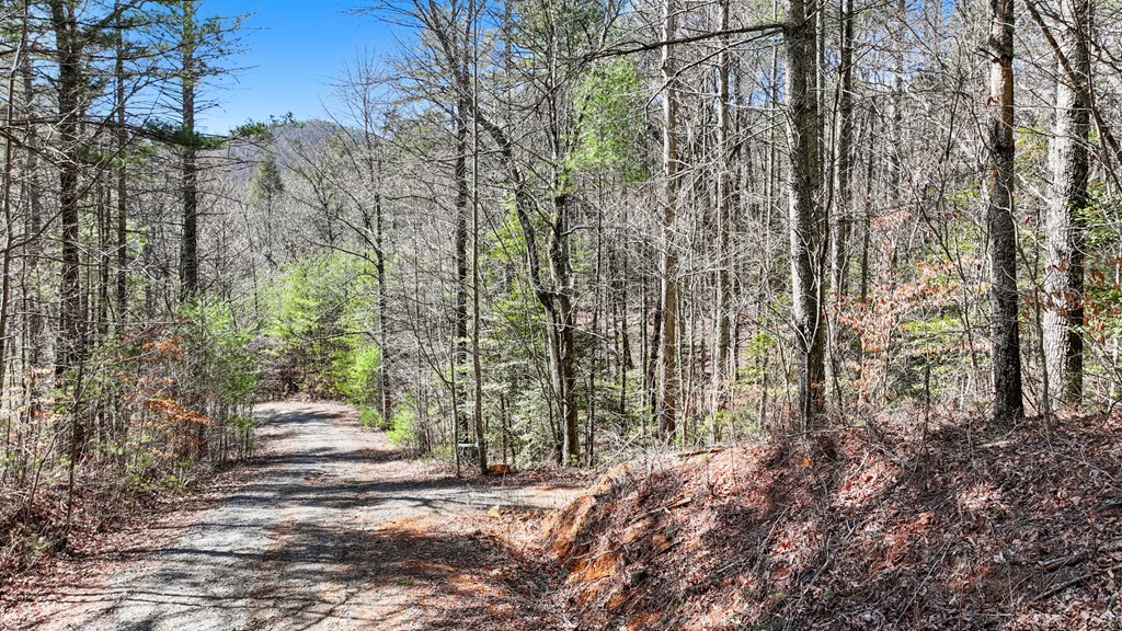 11.1 Ac. Stevens Ridge Road