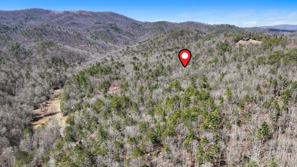 11.1 Ac. Stevens Ridge Road