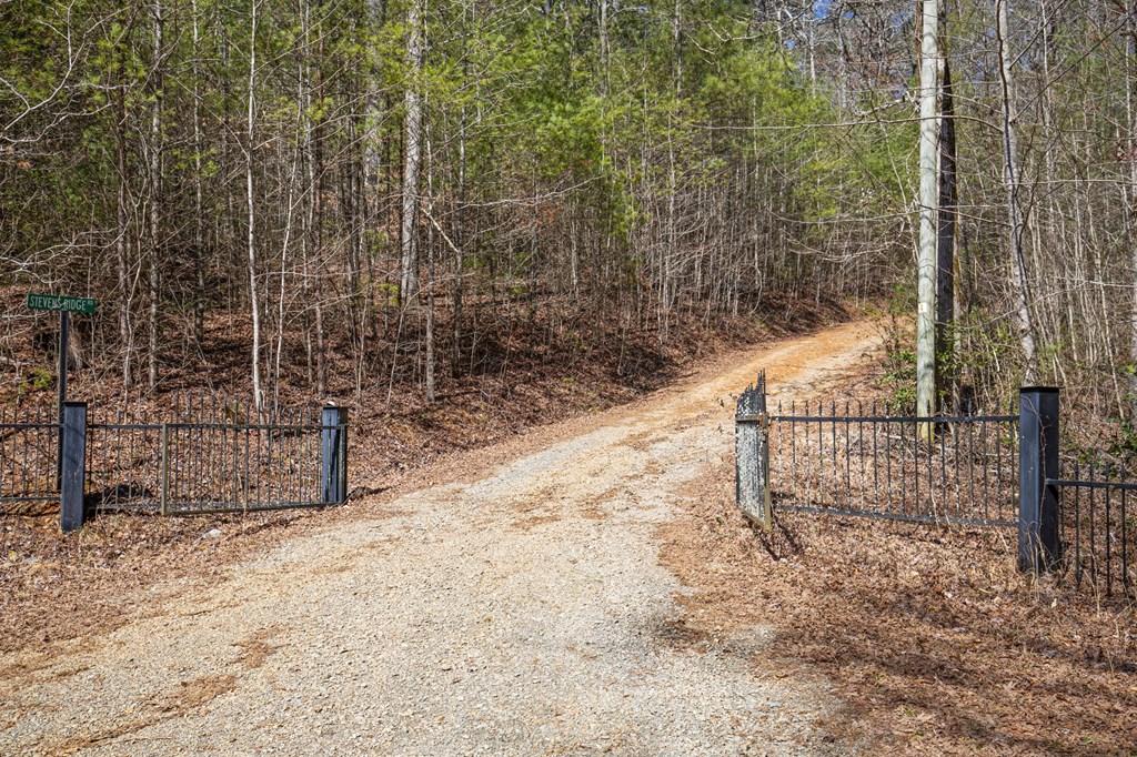 11.1 Ac. Stevens Ridge Road