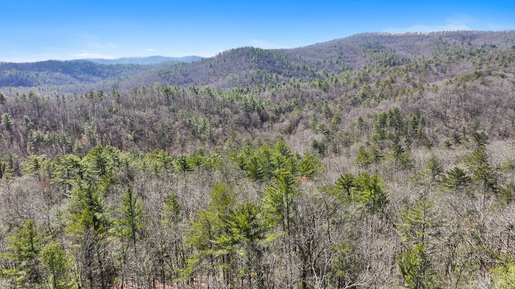 11.1 Ac. Stevens Ridge Road