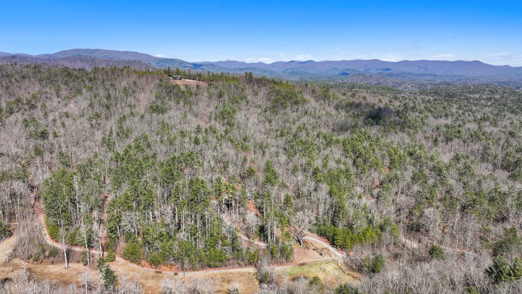 11.1 Ac. Stevens Ridge Road