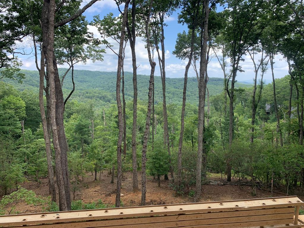 Lot 20 Blue Ridge Escape