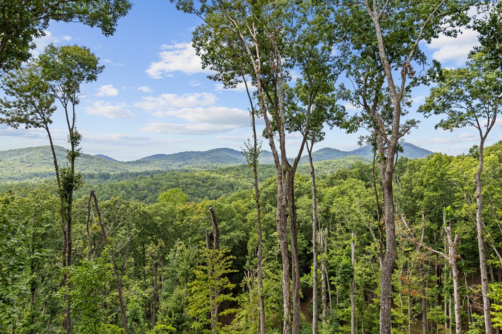 Lot 20 Blue Ridge Escape