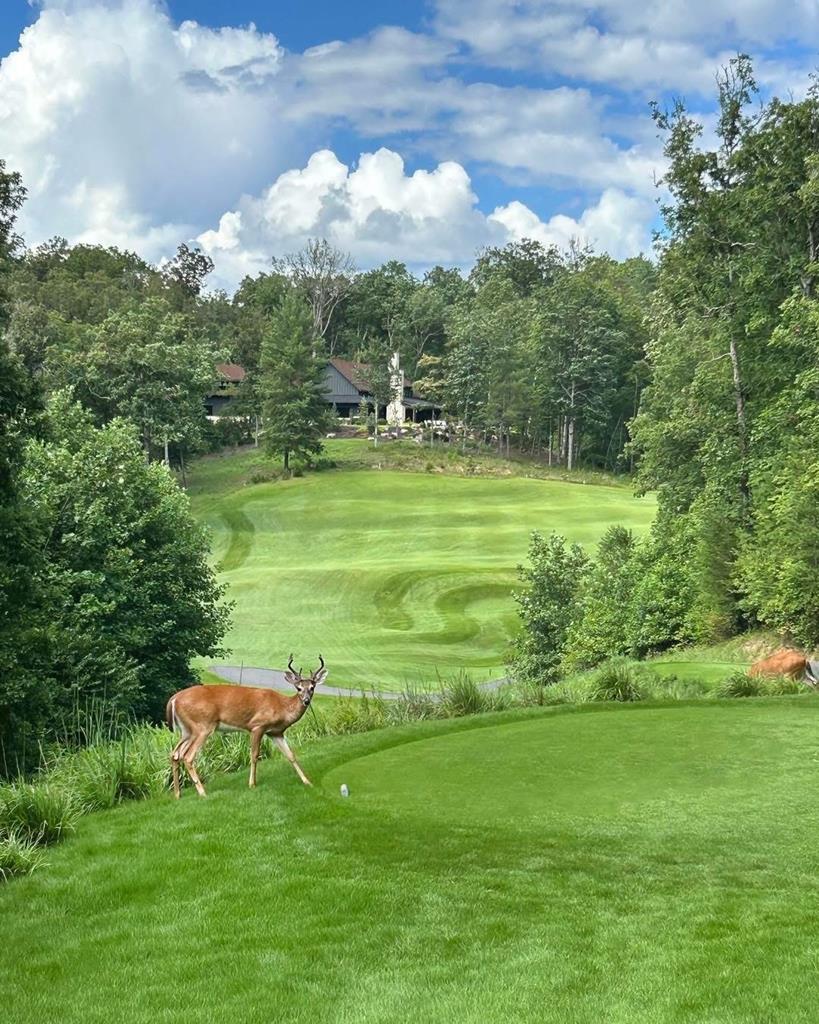 Lot 144 Hickory Way