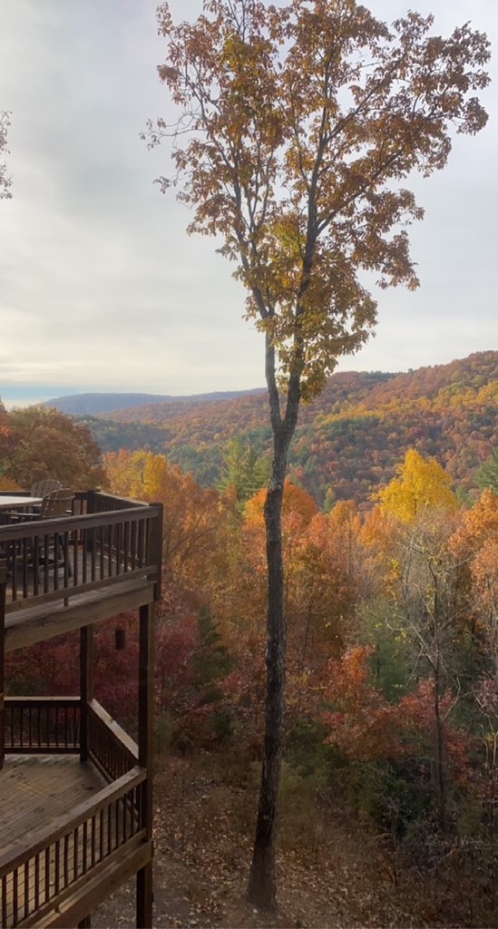 101 Falling Rock Road