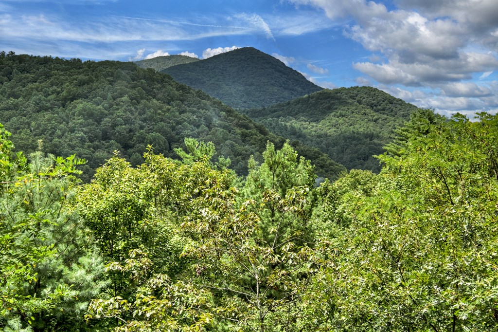 101 Falling Rock Road