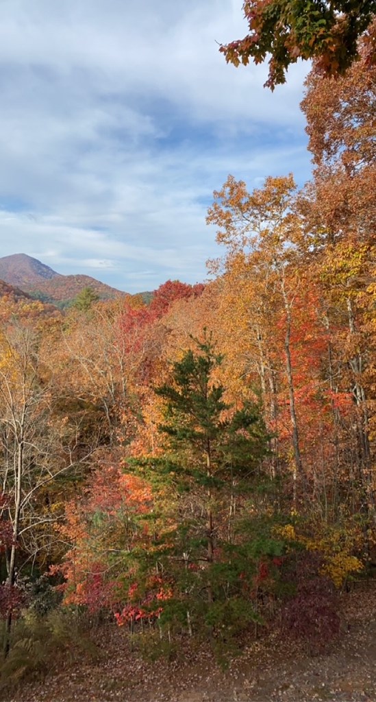 101 Falling Rock Road