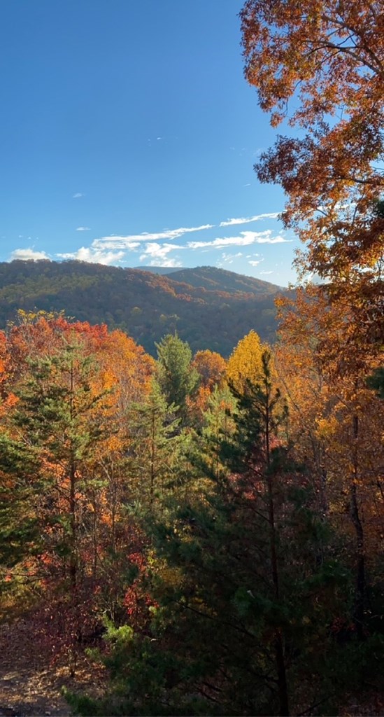 101 Falling Rock Road