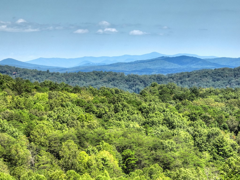 296 Overlook Road