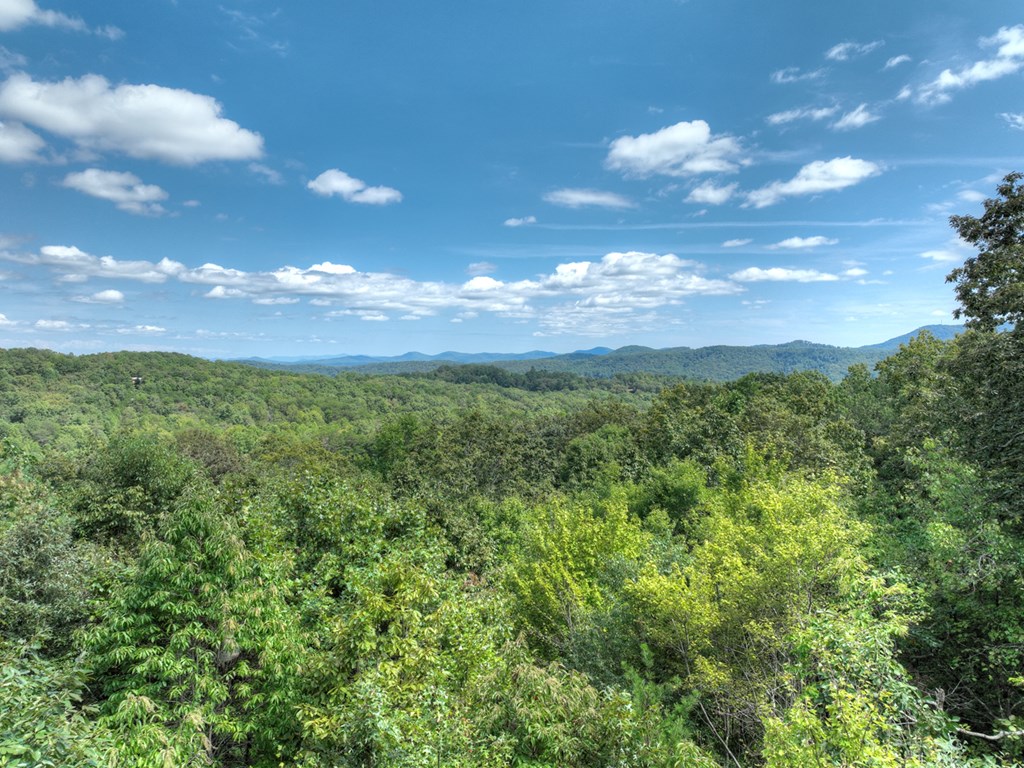 296 Overlook Road