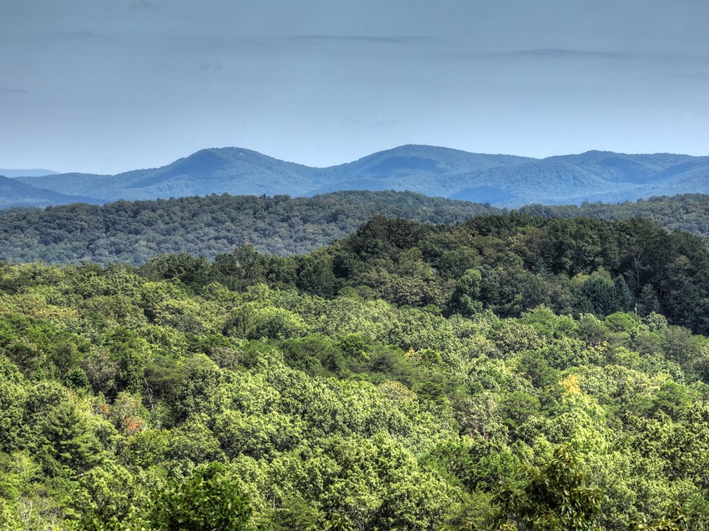 296 Overlook Road