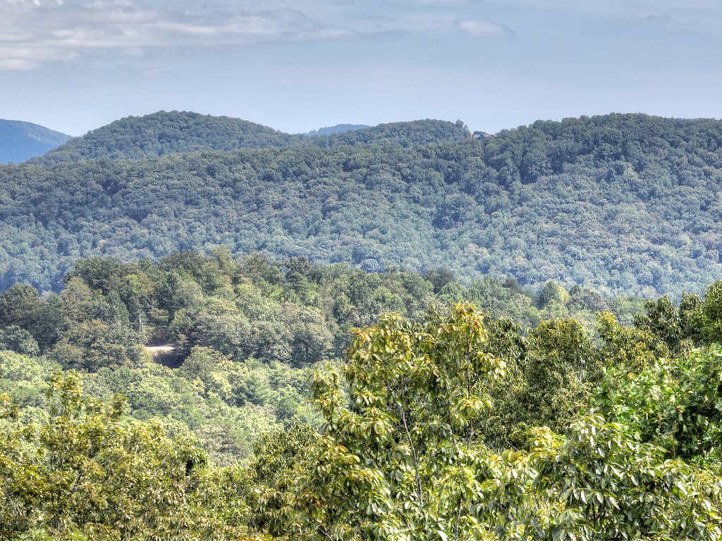 296 Overlook Road