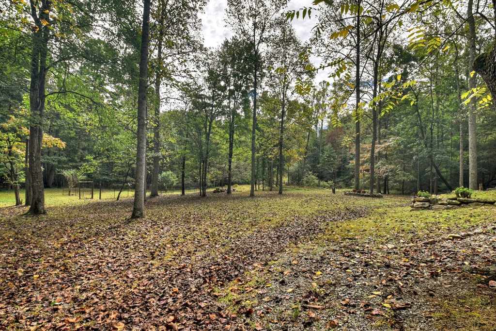 1081 Mitchell Branch Road