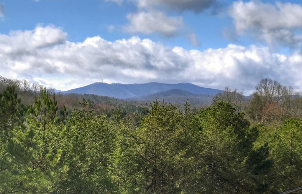 Unit 17 Grove Loop, Blue Ridge