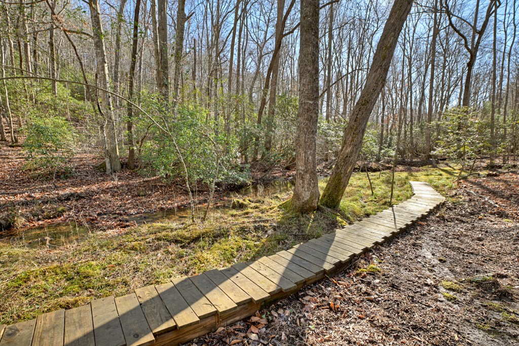 870 Mitchell Branch Road