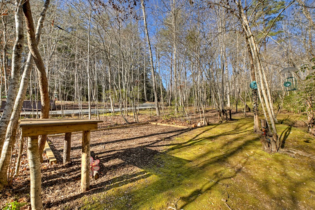 870 Mitchell Branch Road