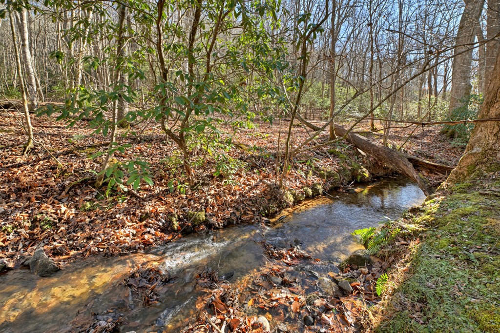 870 Mitchell Branch Road