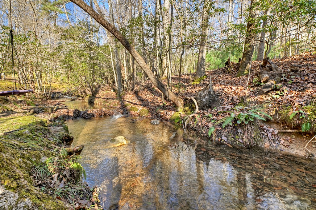 870 Mitchell Branch Road