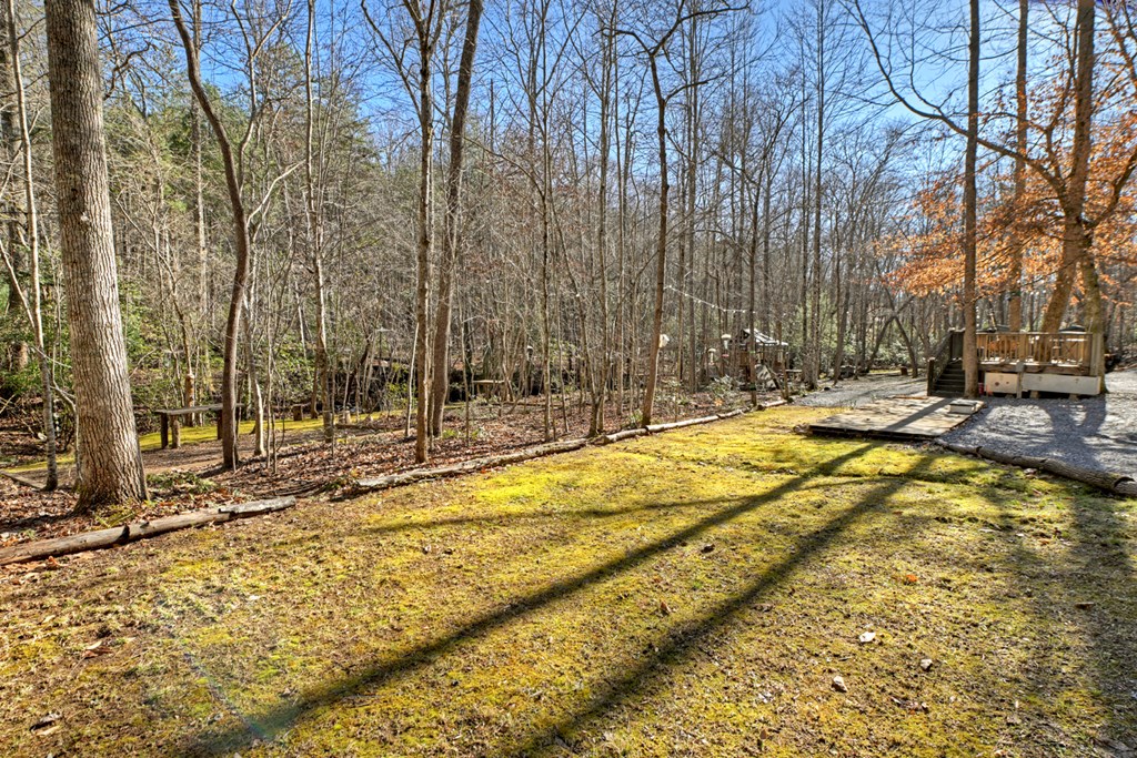 870 Mitchell Branch Road