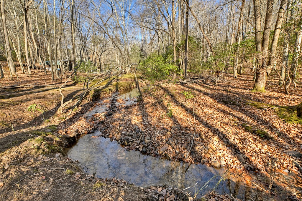 870 Mitchell Branch Road