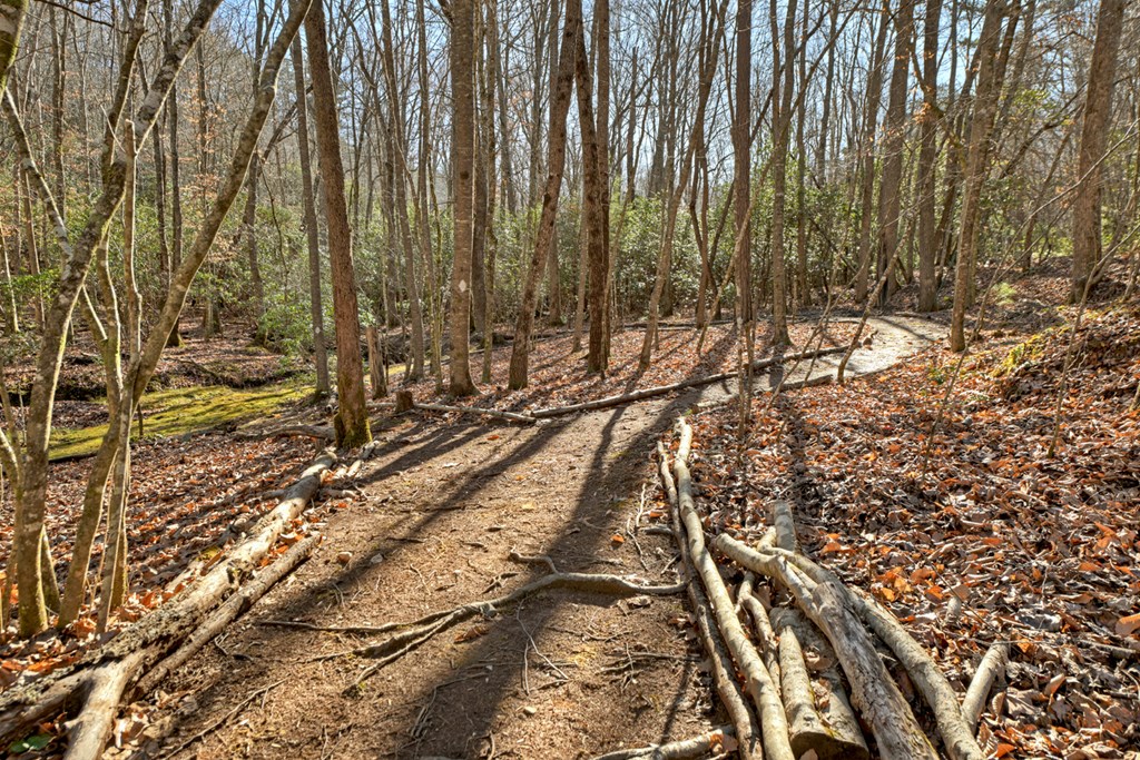 870 Mitchell Branch Road